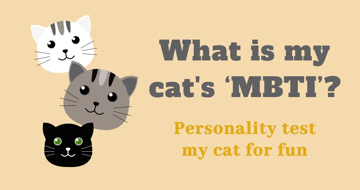 What is my cat's
MBTI?